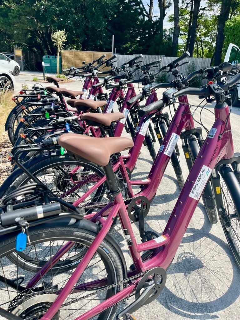 Flotte VAE Cannondale N'BIKE RENTAL