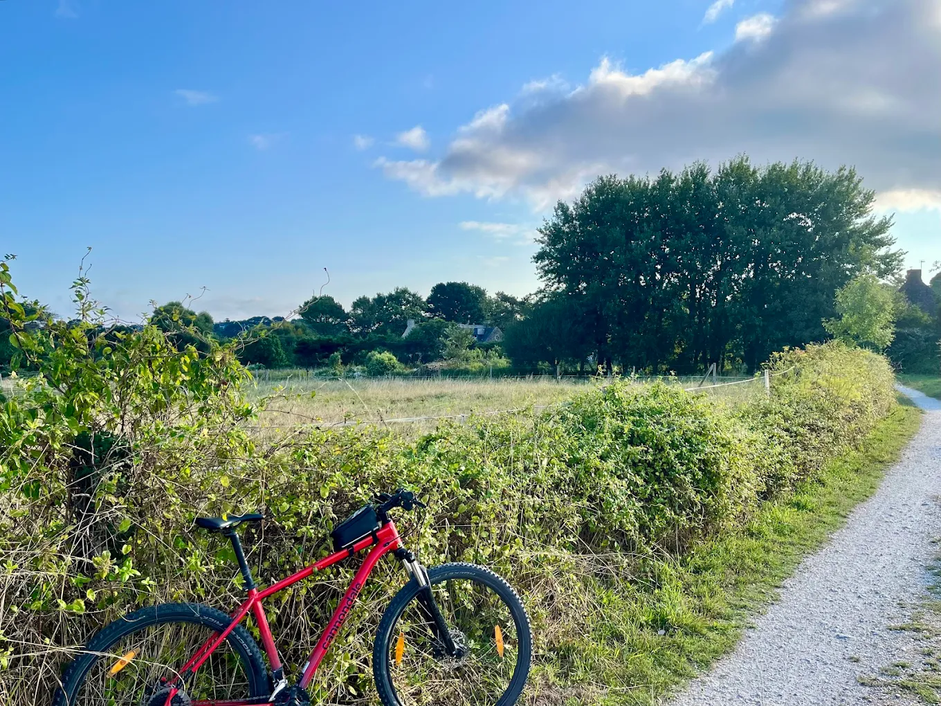 Location VTT Cannondale Lorient – N'BIKE RENTAL